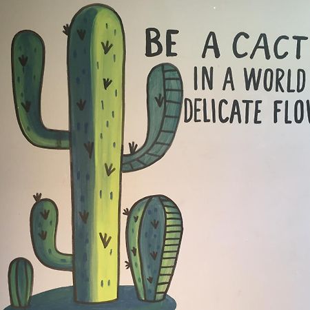 Bajas Cactus Hostel Кабо-Сан-Лукас Экстерьер фото
