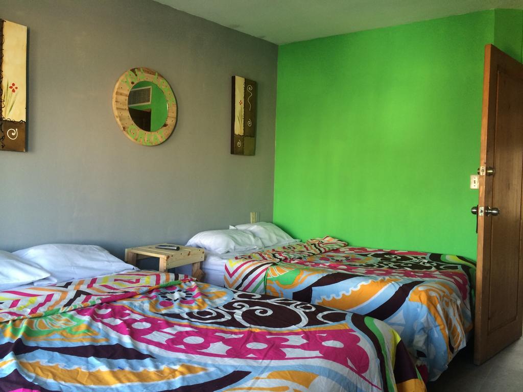 Bajas Cactus Hostel Кабо-Сан-Лукас Номер фото