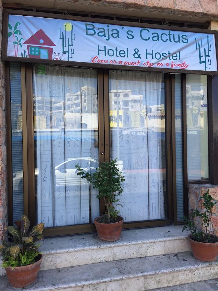 Bajas Cactus Hostel Кабо-Сан-Лукас Экстерьер фото