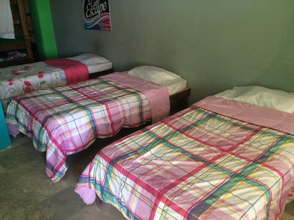 Bajas Cactus Hostel Кабо-Сан-Лукас Номер фото