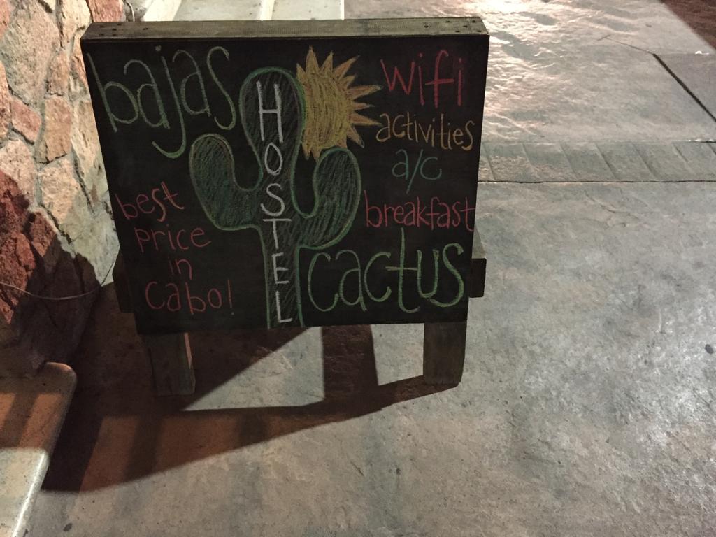 Bajas Cactus Hostel Кабо-Сан-Лукас Экстерьер фото