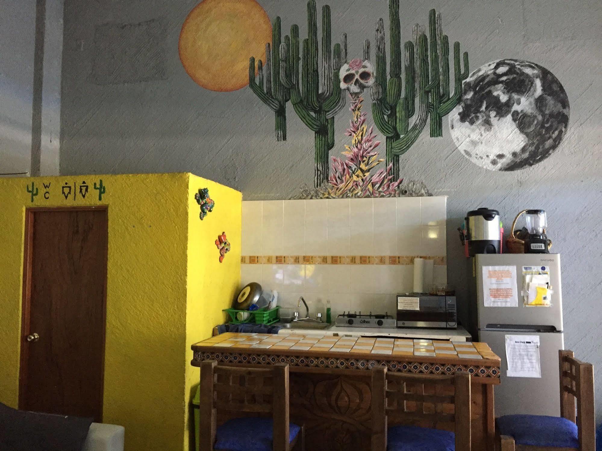 Bajas Cactus Hostel Кабо-Сан-Лукас Экстерьер фото