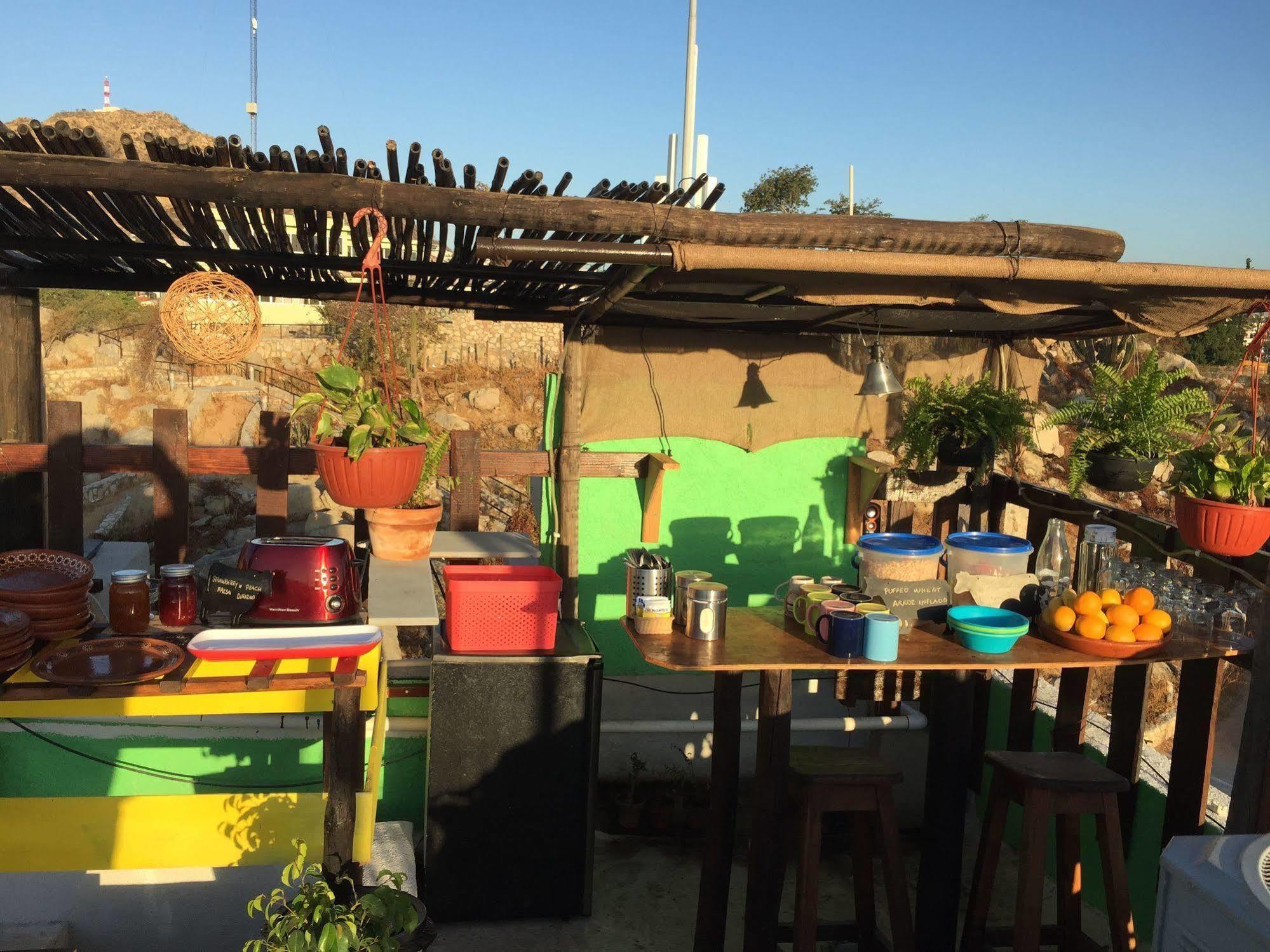 Bajas Cactus Hostel Кабо-Сан-Лукас Экстерьер фото