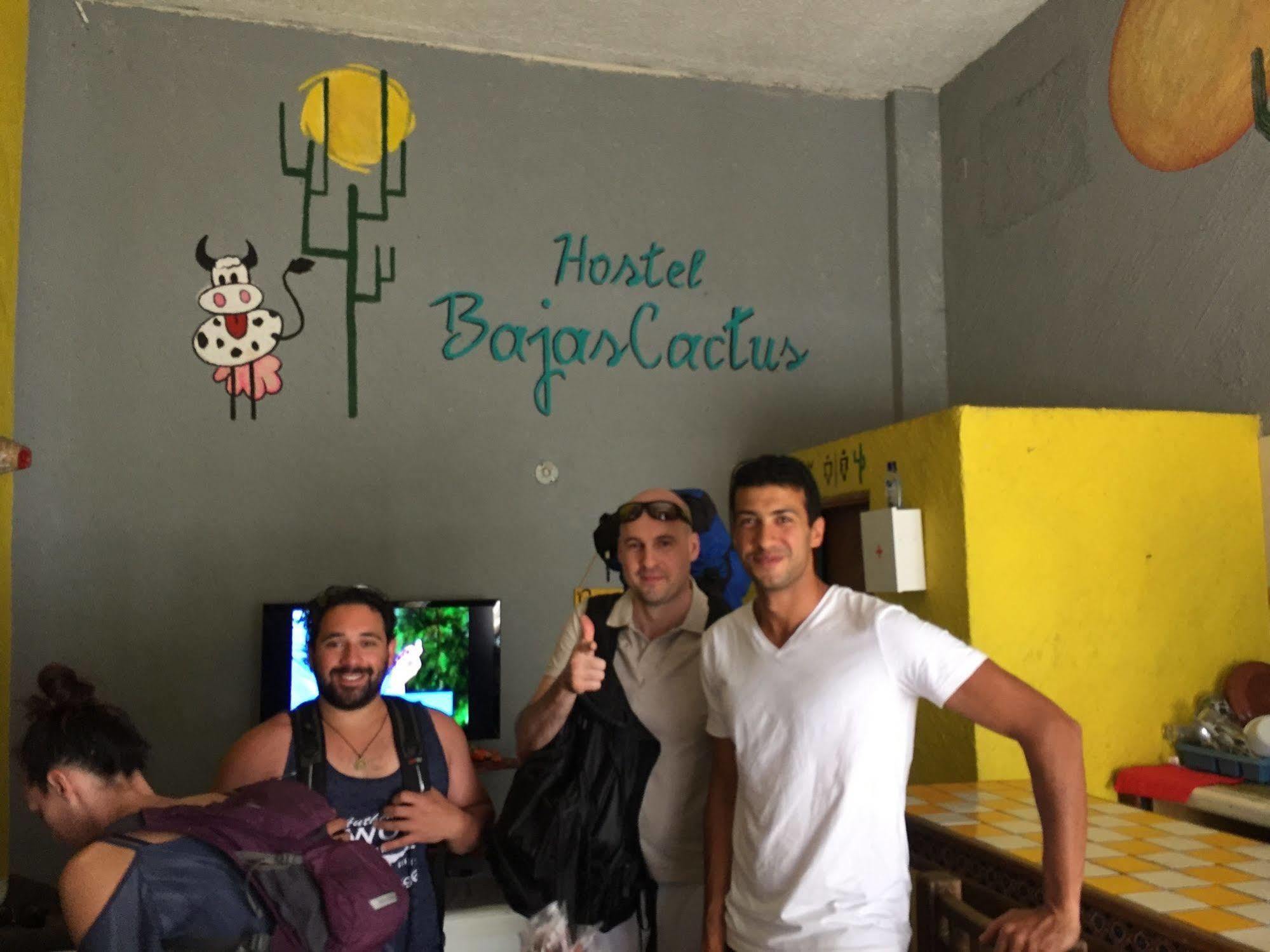Bajas Cactus Hostel Кабо-Сан-Лукас Экстерьер фото