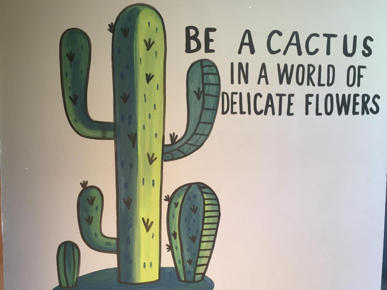 Bajas Cactus Hostel Кабо-Сан-Лукас Экстерьер фото