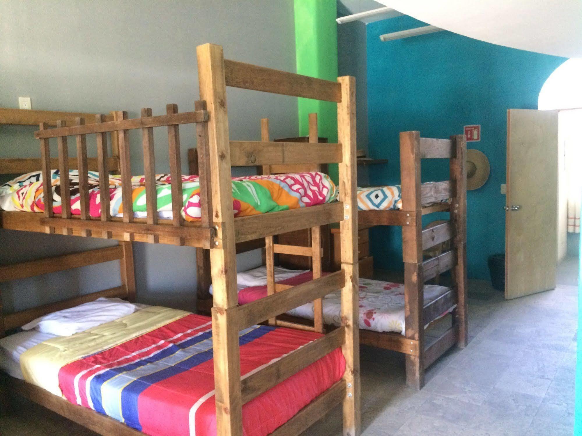 Bajas Cactus Hostel Кабо-Сан-Лукас Экстерьер фото