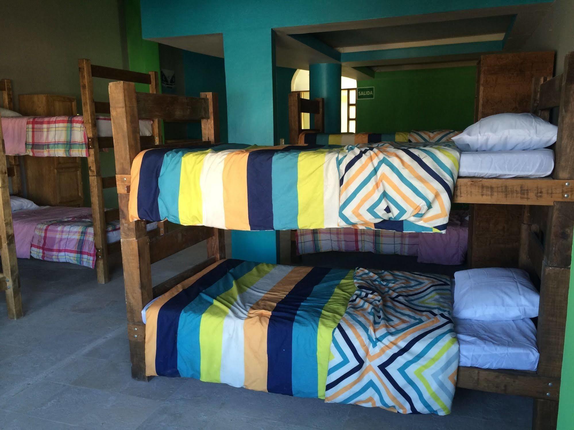 Bajas Cactus Hostel Кабо-Сан-Лукас Экстерьер фото