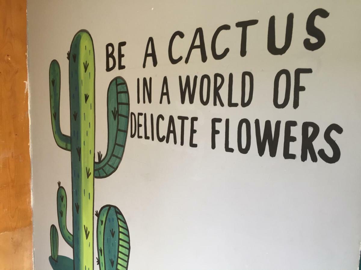 Bajas Cactus Hostel Кабо-Сан-Лукас Экстерьер фото